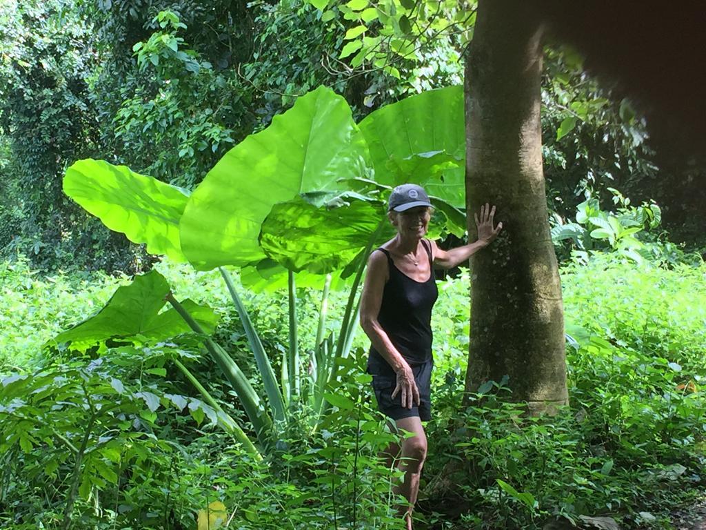 Villa Senang スンギギ エクステリア 写真
